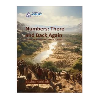 Numbers - There and Back Again Bible Study (2025)