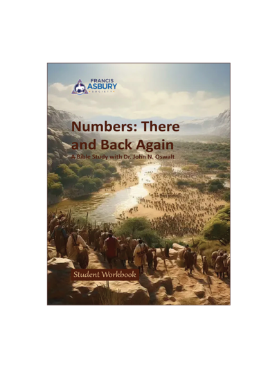 Numbers - There and Back Again Bible Study (2025)