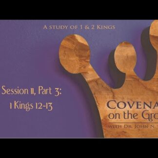 Covenant on the Ground: 1 Kings 12-13, Part 3