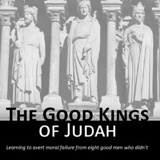 Good Kings of Judah Bible Study