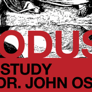 Exodus Bible Study: Exodus 7-8