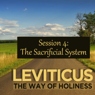 Leviticus Bible Study Session 4: The Sacrificial System