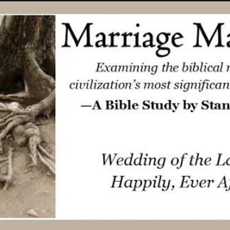 Marriage Matters: The Wedding of the Lamb